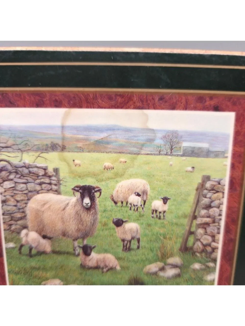 All Creatures Great & Small James Herriot Coasters With Green Borders Set of 6